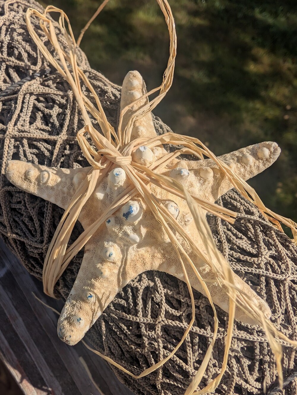 Nautical Net | Starfish - Picture 3 of 8